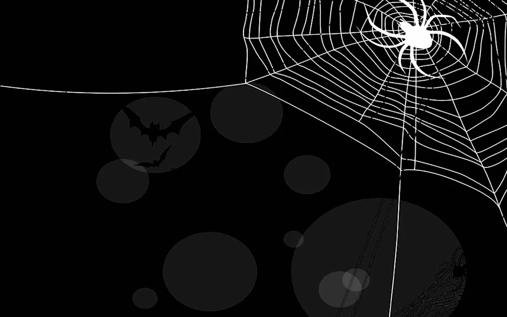 Spider web