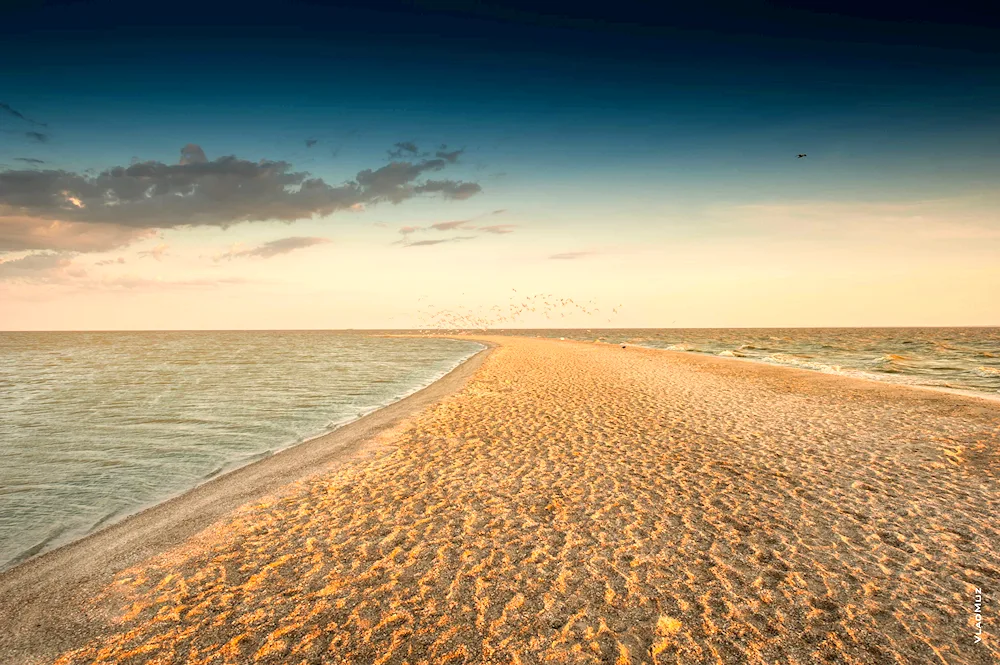 Pavlova- Ochakovskaya Spit Azov Sea