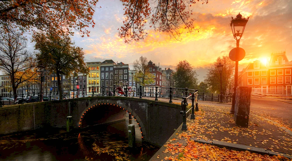Pavlovsky Park Eduard Gordeev
