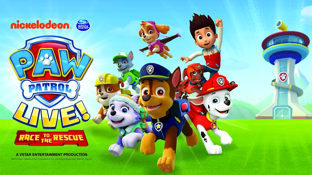 Paw Patrol Super Patrol Sky