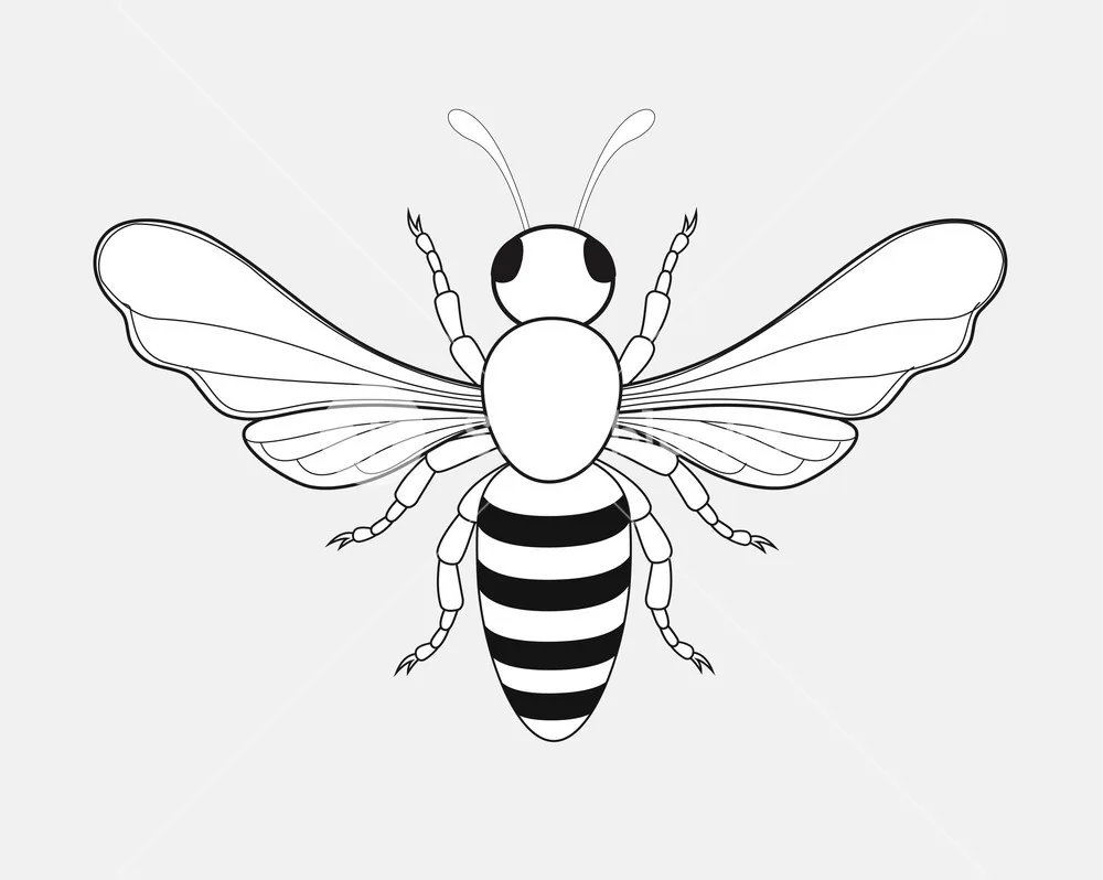 Beeee drawing