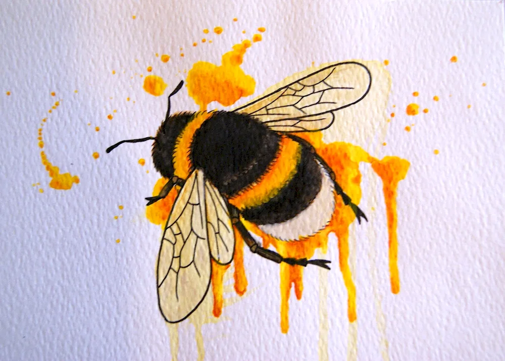 Bumblebee drawing