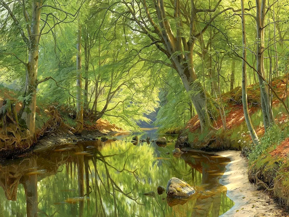 Peder Monstead Forest river