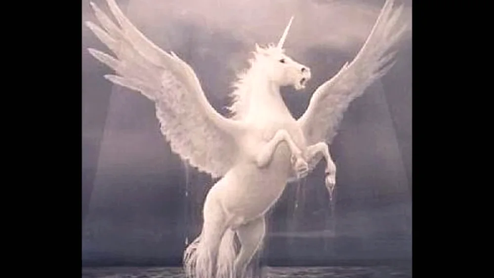 Pegasus pictures