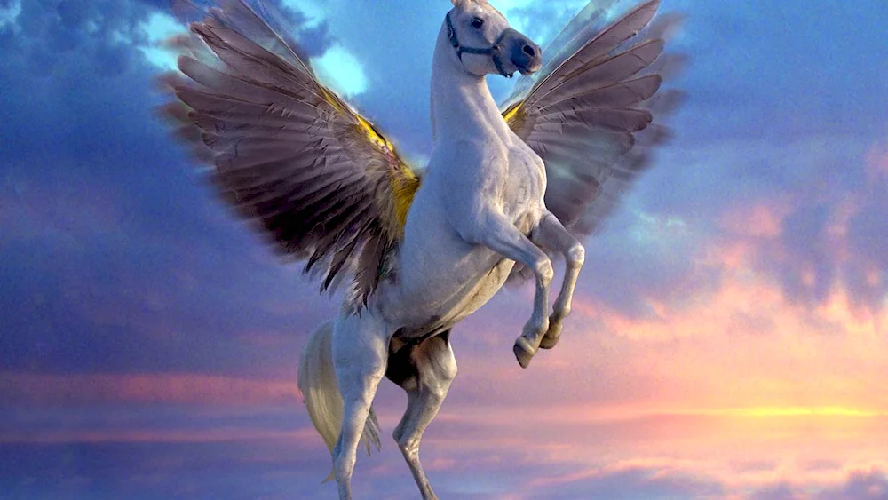 Pegasus winged horse