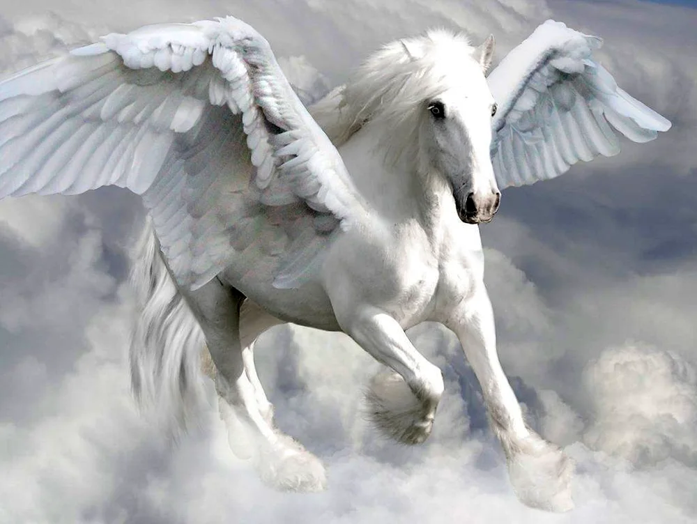 Pegasus winged horse