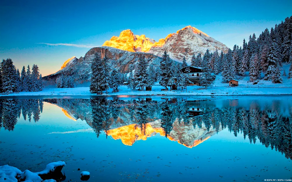 Winter landscape