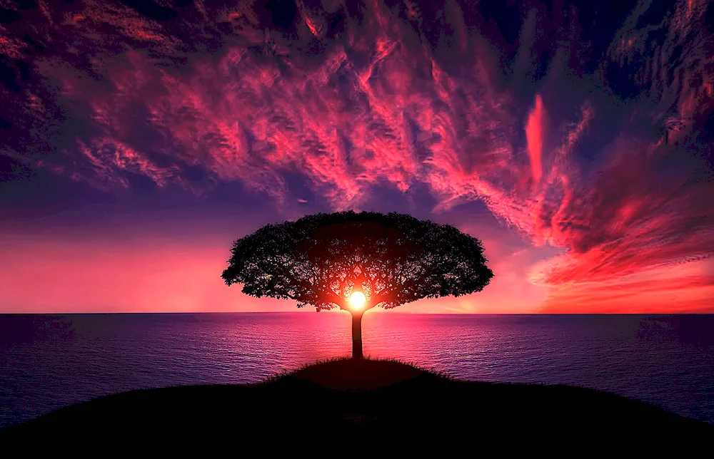 Scenery
