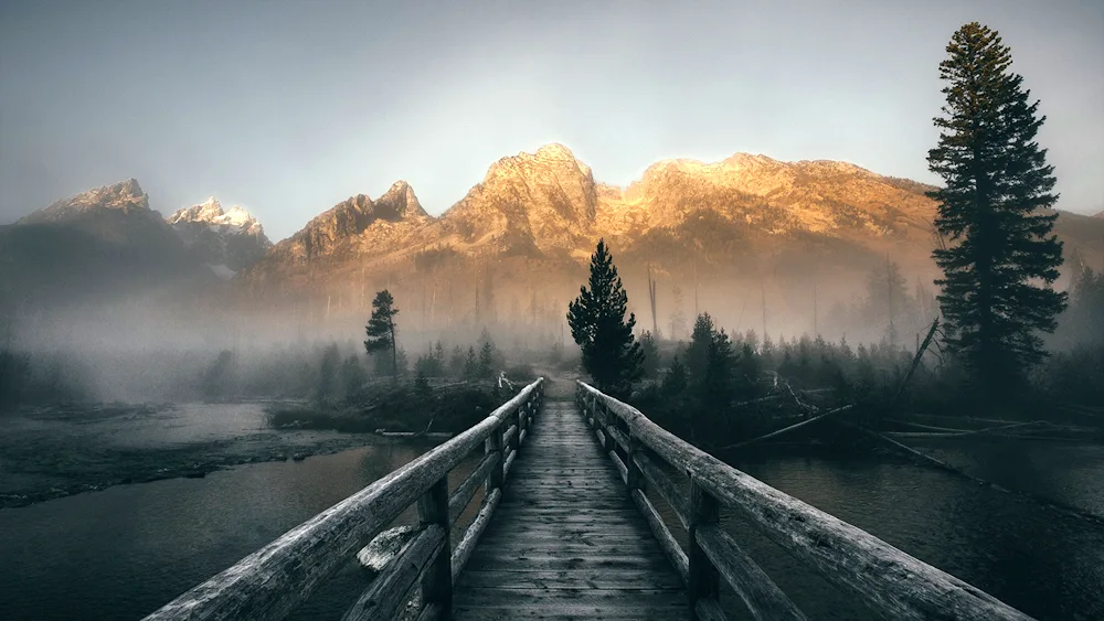 Landscape