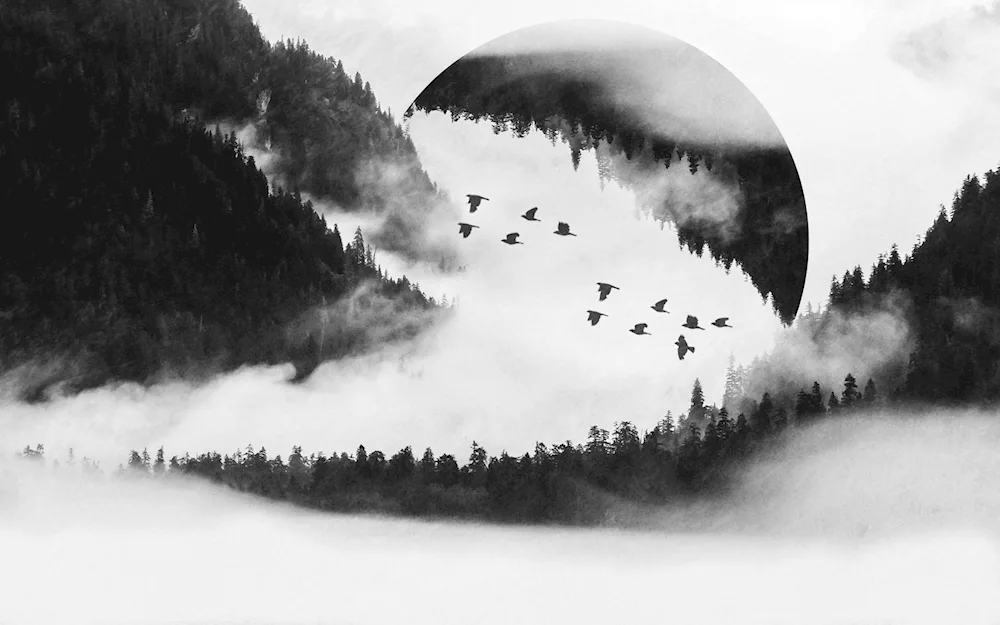 Double Exposure Landscape