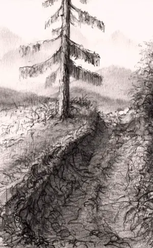 Landscape in pencil
