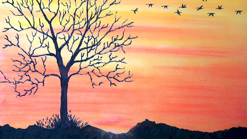 An uncomplicated landscape