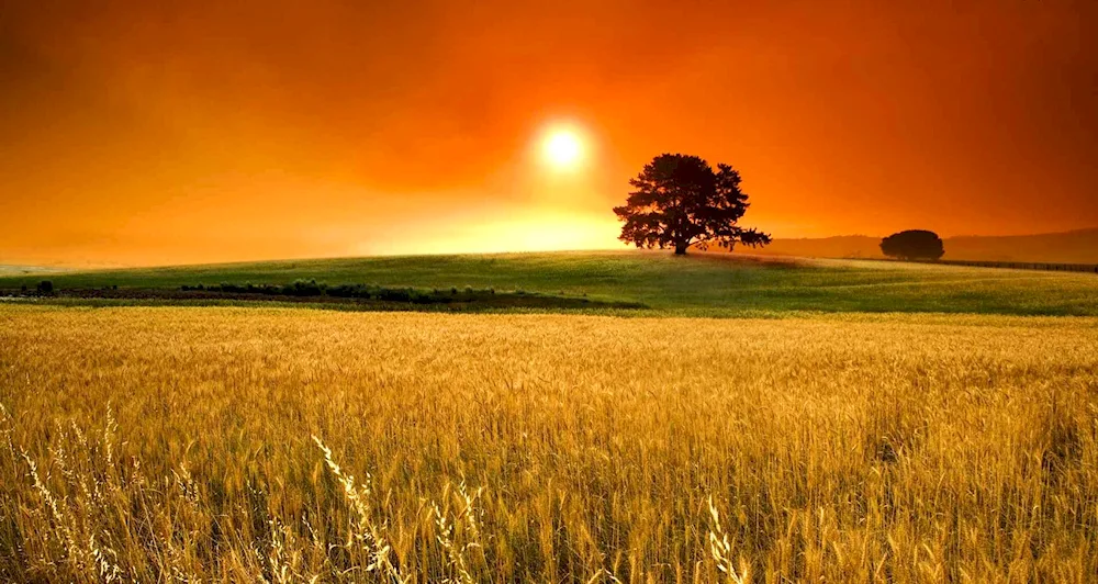 More sun