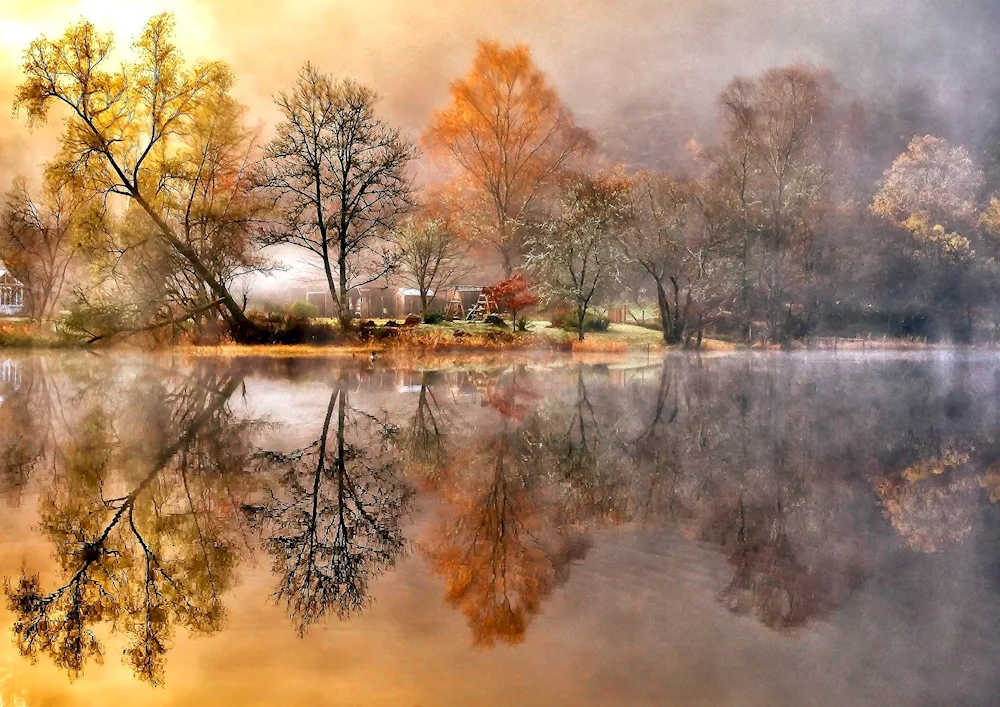 Scape with reflection in the water