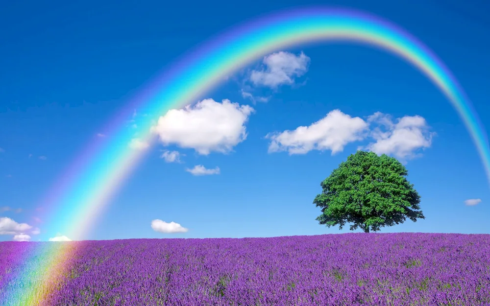 Rainbow