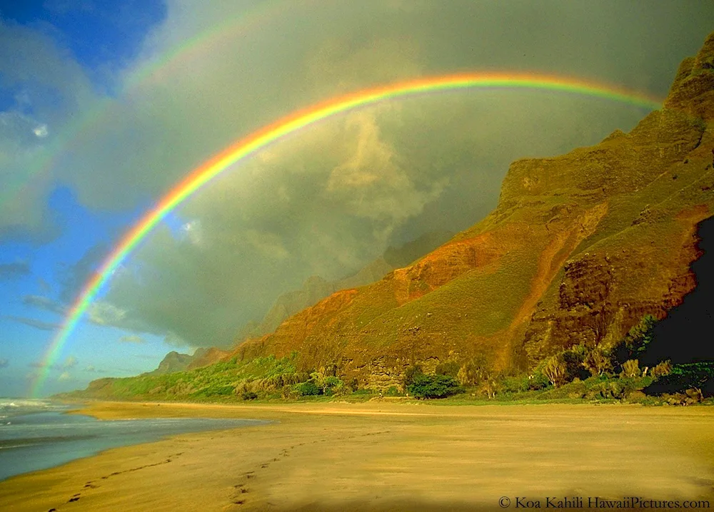 Vibrant colours
