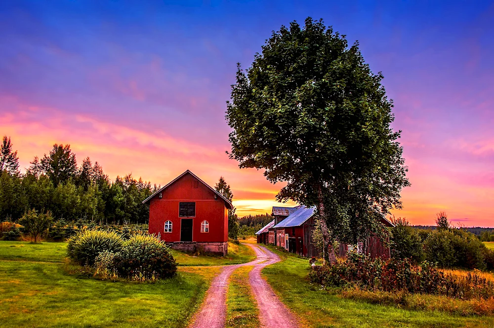 Rural landscape