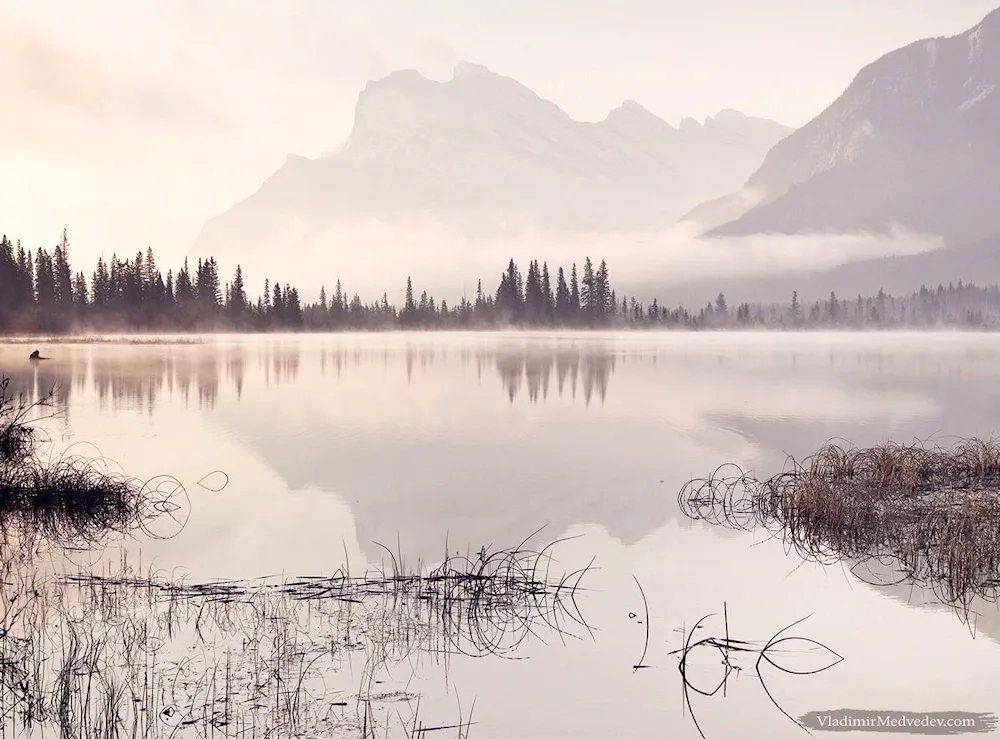 Anime landscape