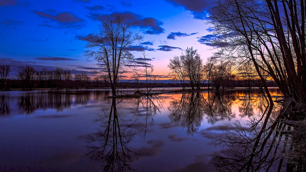 Evening landscape