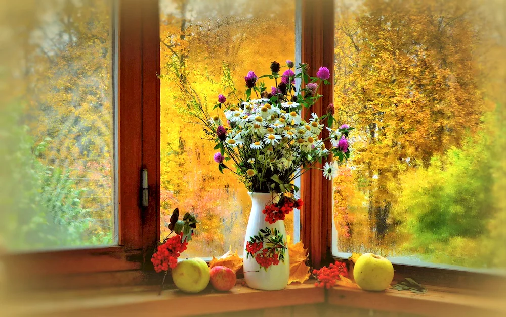 Autumn at the window