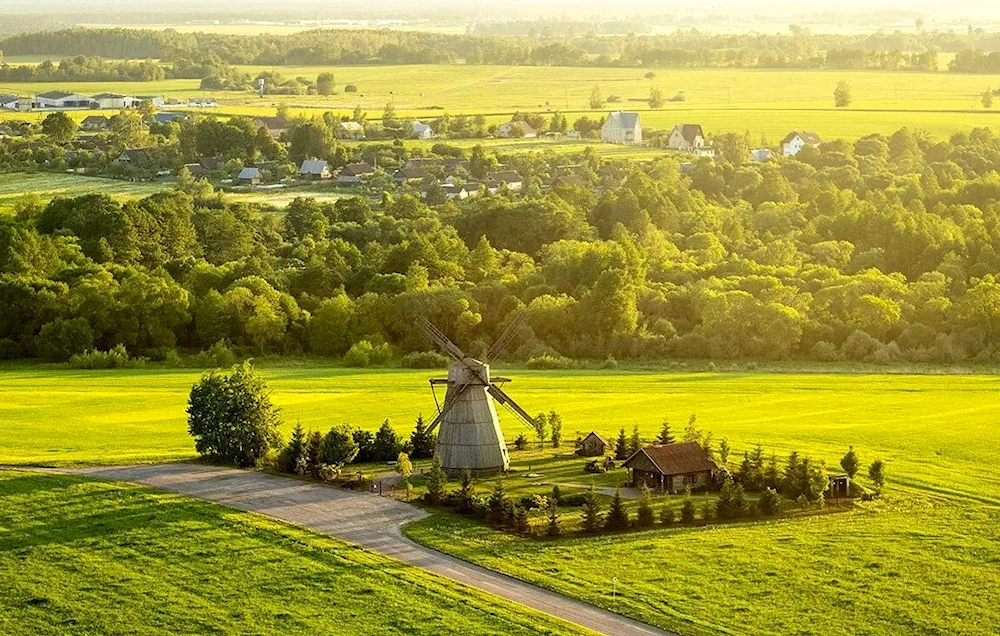 Summer in the village haying