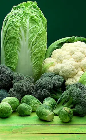 Peking cabbage broccoli cauliflower broccoli and kohlrabi kohlrabi brussels sprouts broccoli cauliflower brussels sprouts broccoli cauliflower broccoli kohlrabi
