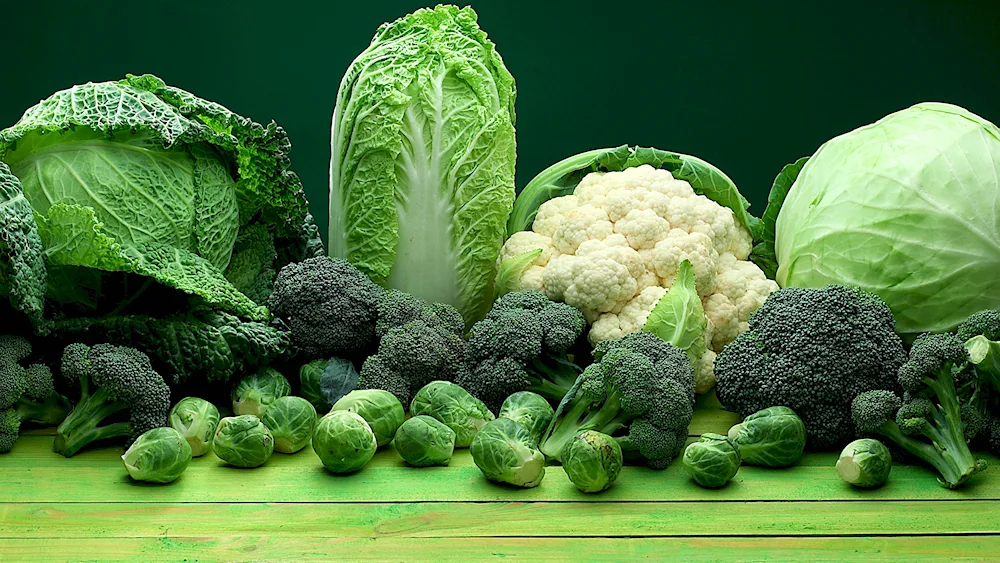 Peking cabbage broccoli cauliflower broccoli and kohlrabi kohlrabi brussels sprouts broccoli cauliflower brussels sprouts broccoli cauliflower broccoli kohlrabi