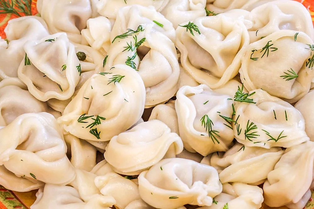 Homemade dumplings