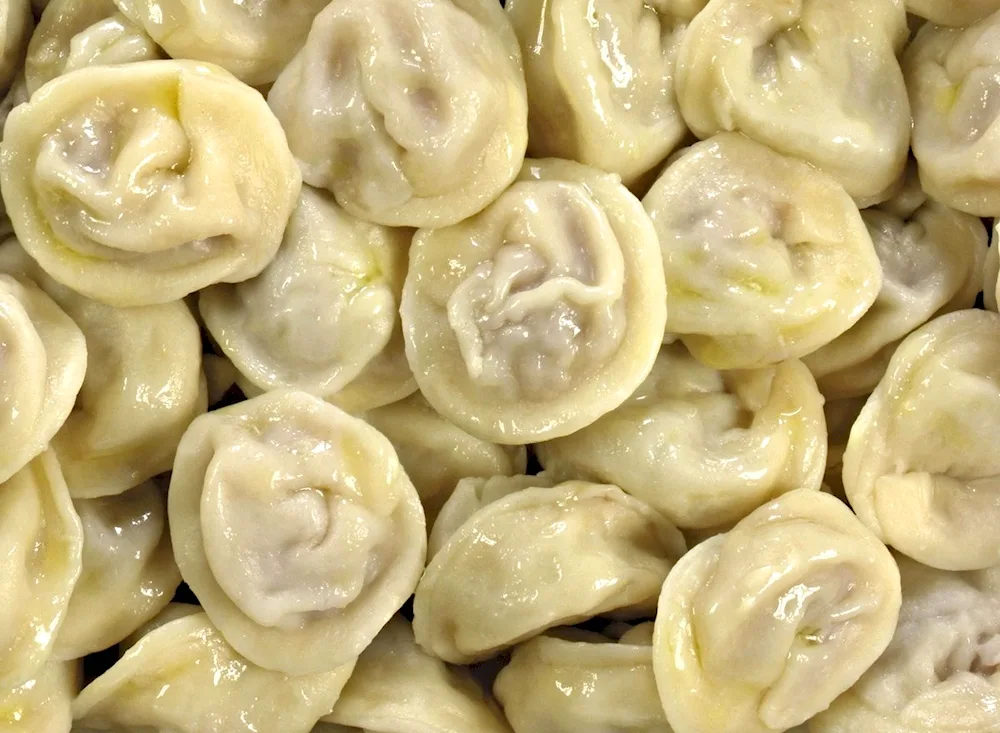 Homemade semi-finished dumplings
