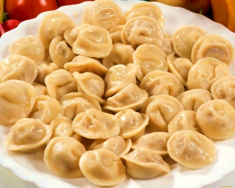 Homemade dumplings