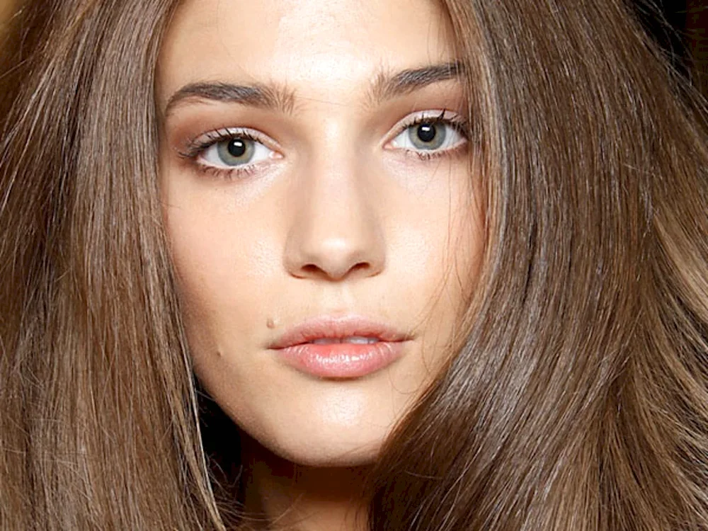 Pepel chestnut hair colour