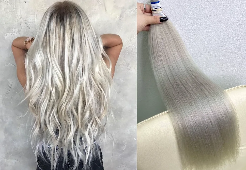Sedium platinum silver blond