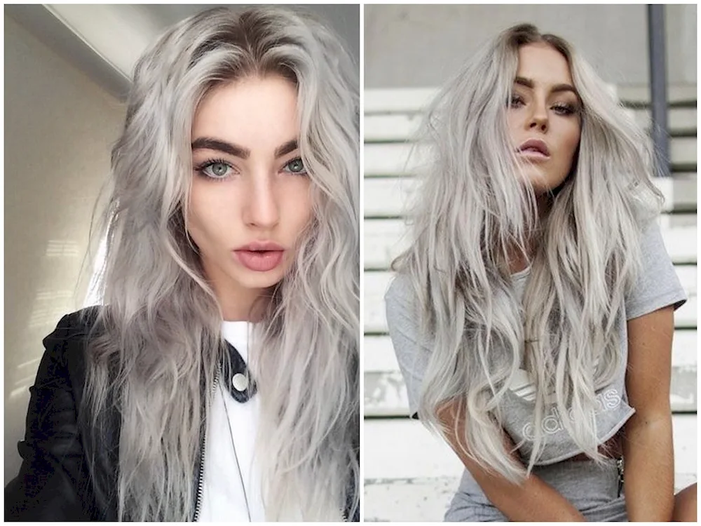 Sedium cut blond