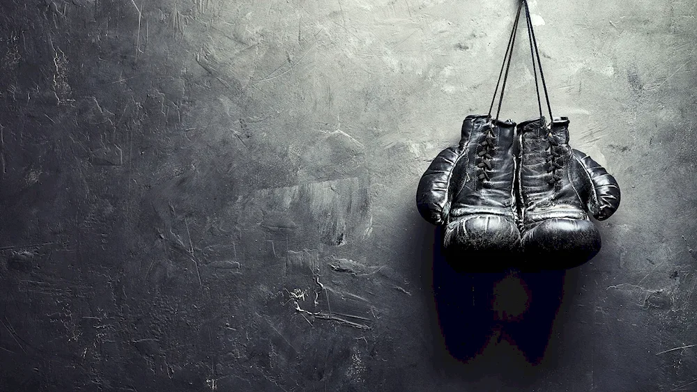 Boxing gloves