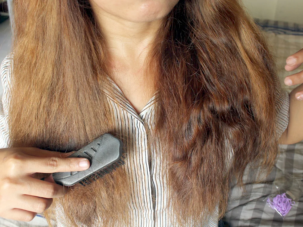 Dried hair