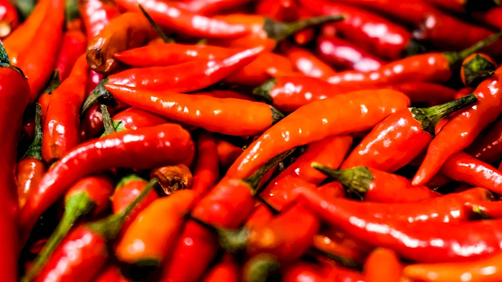 Paprika peppers