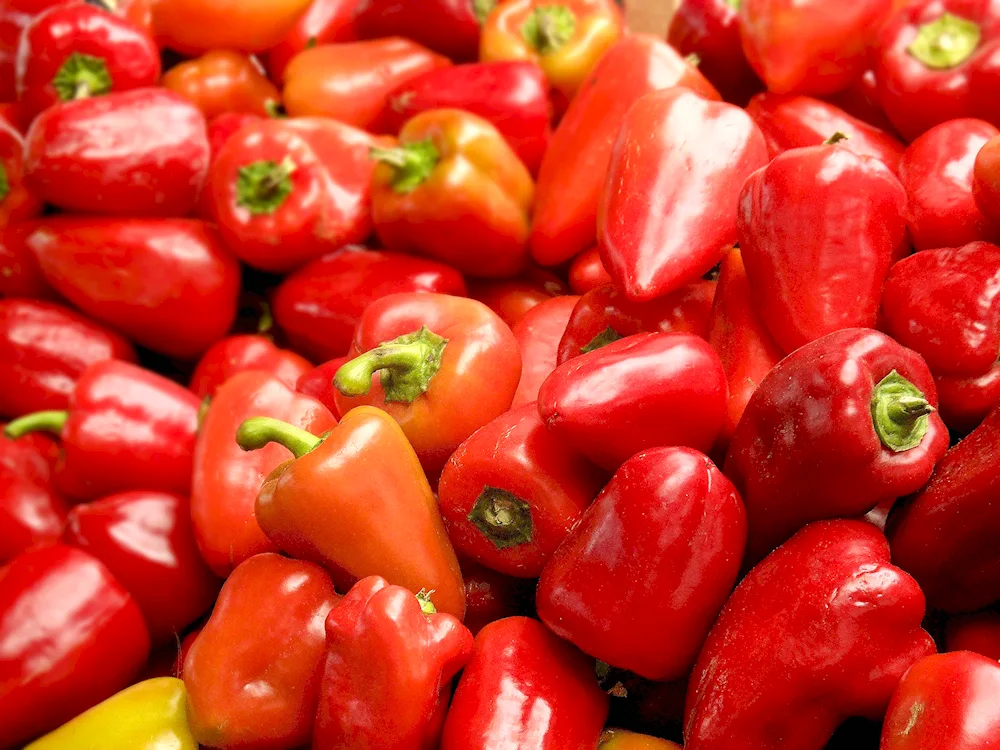 Red vegetables and fruits