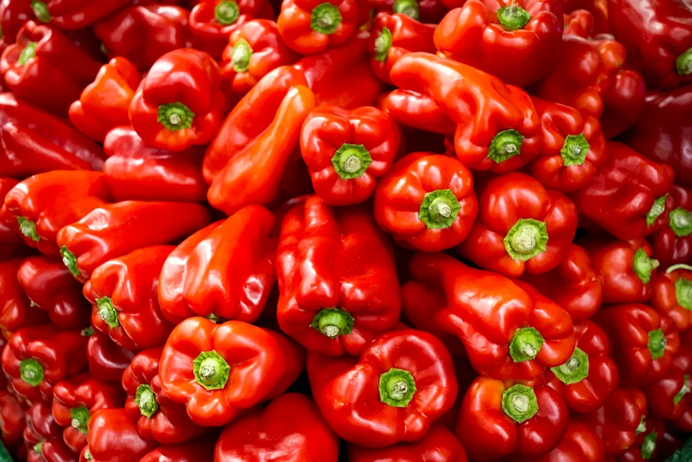 Paprika