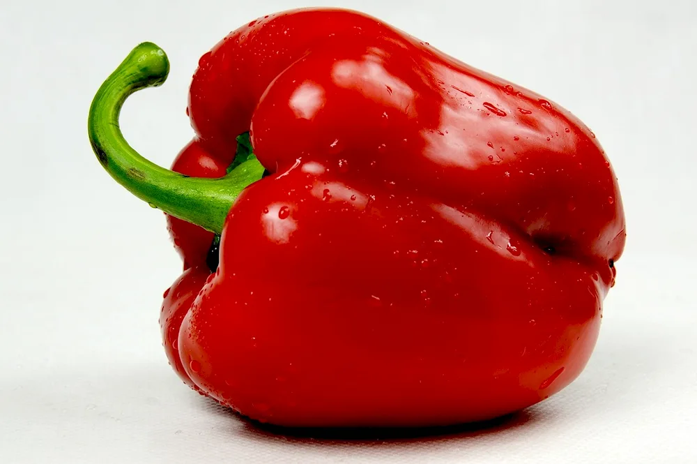 Tomato