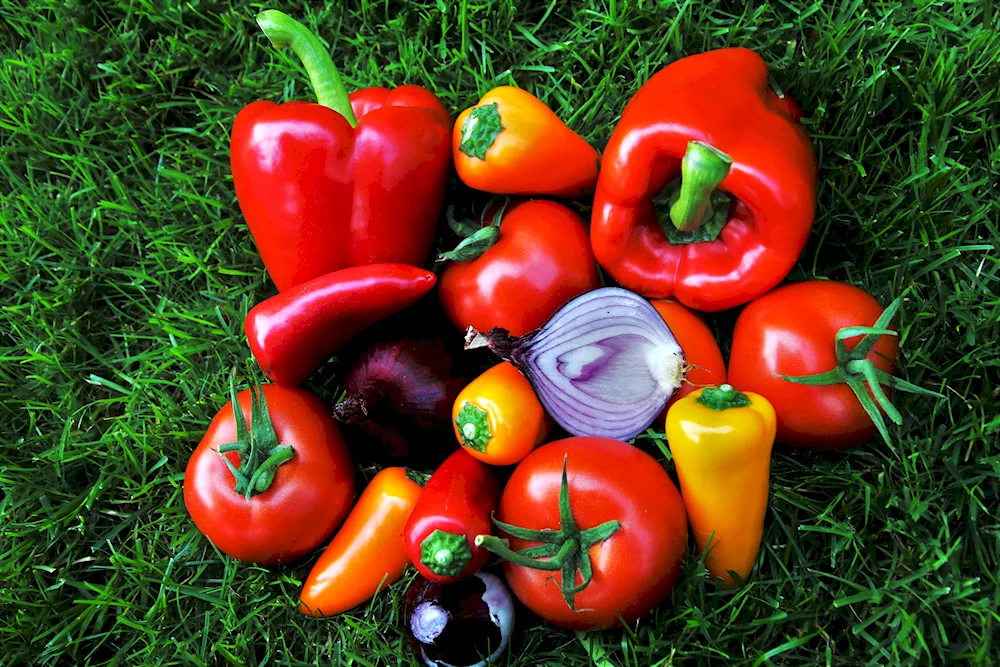 Paprika peppers photo
