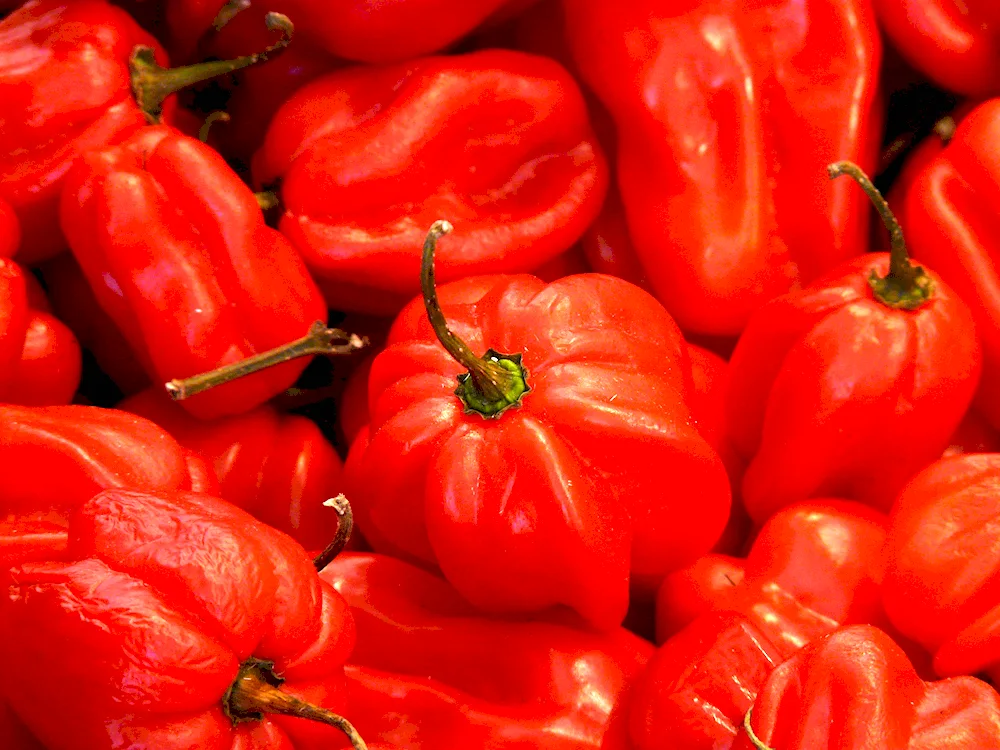 Red vegetables