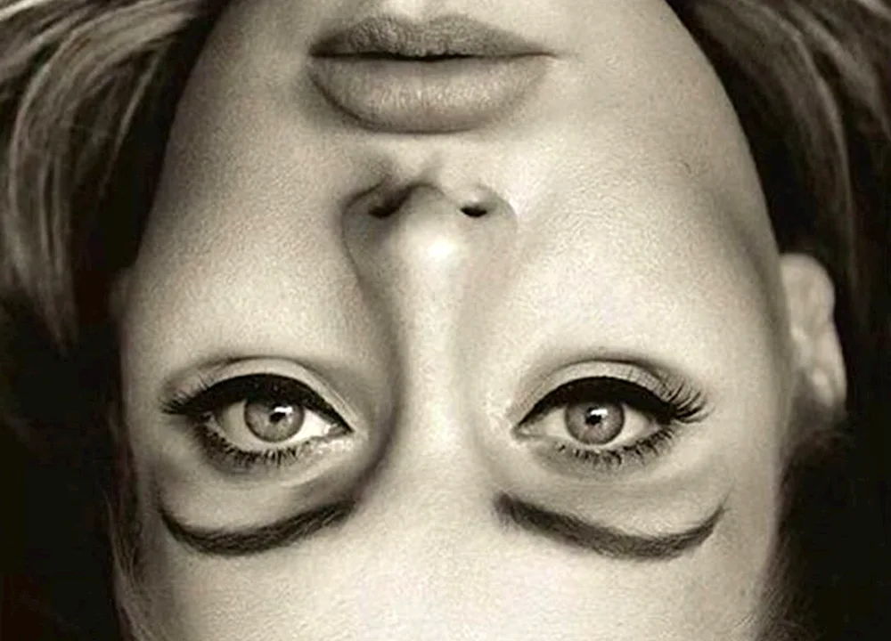 Optical illusions of faces