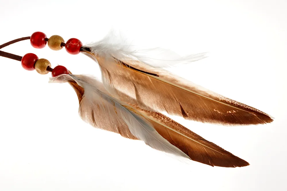 Bird feathers