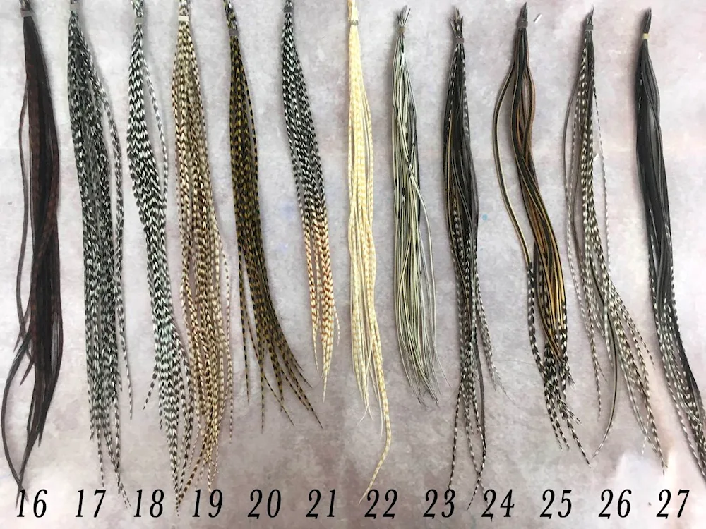 Feathers. bird feathers on the head