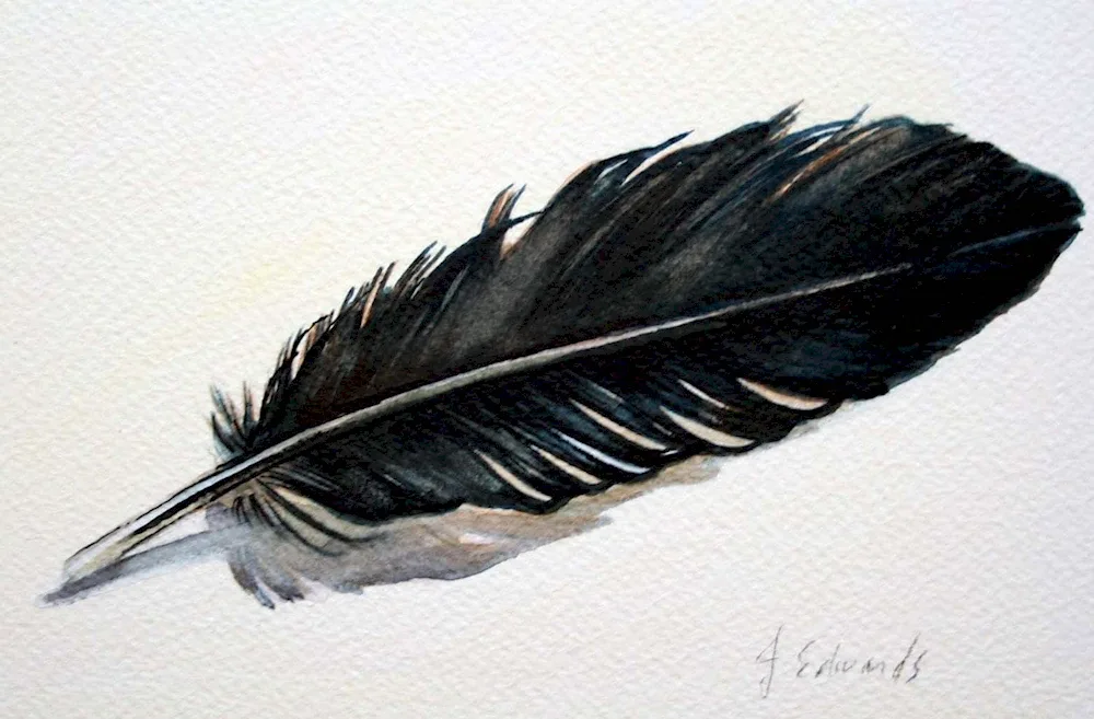 Golden sparrow feathers. Pheasant