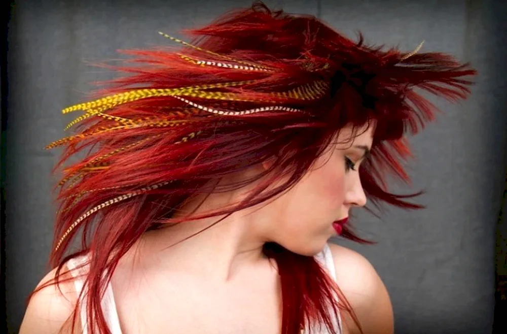 Feathers in the hair