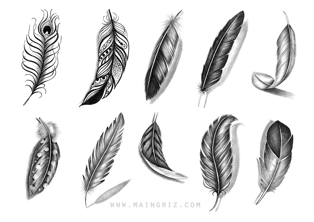 feather with names