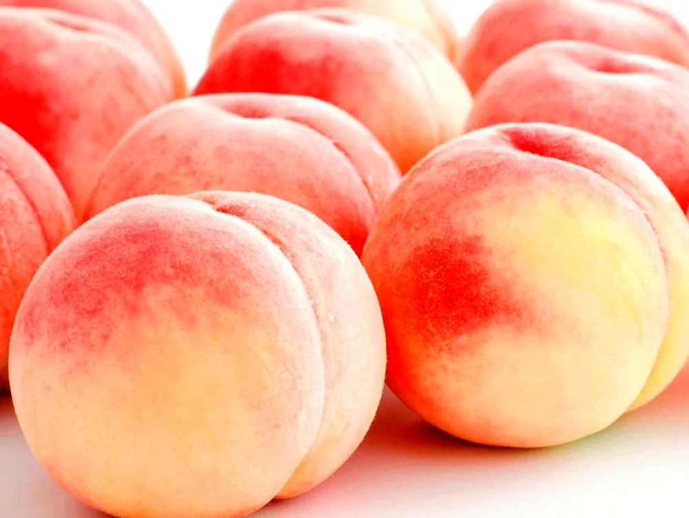 Japanese peach tree