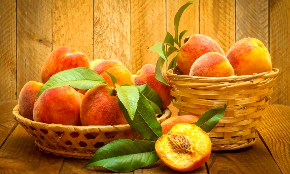 Fruit Apricot and nectarine