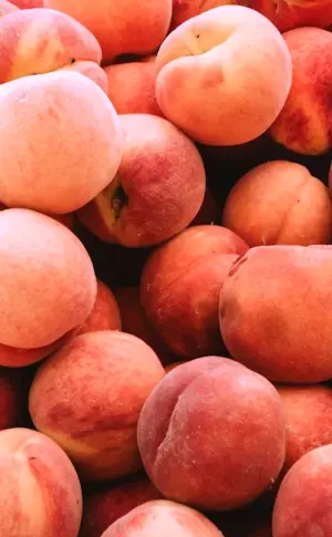 Peach nectarine apricot